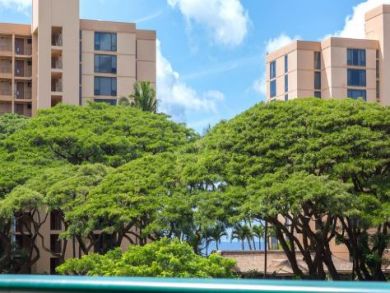 Kaanapali  Maui Condo 895909